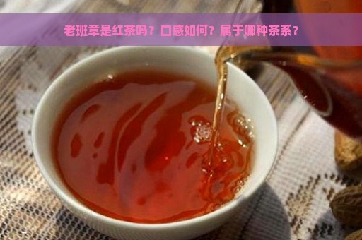 老班章是红茶吗？口感如何？属于哪种茶系？