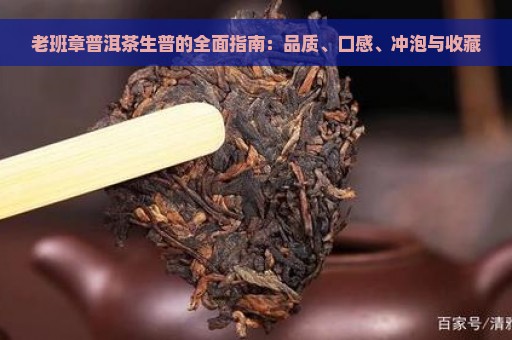 老班章普洱茶生普的全面指南：品质、口感、冲泡与收藏