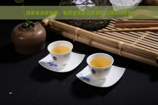 探索普洱茶世界：老班章生茶与熟茶的口感对比分析