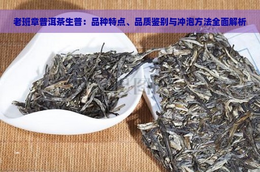 老班章普洱茶生普：品种特点、品质鉴别与冲泡方法全面解析