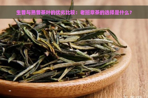 生普与熟普茶叶的优劣比较：老班章茶的选择是什么？