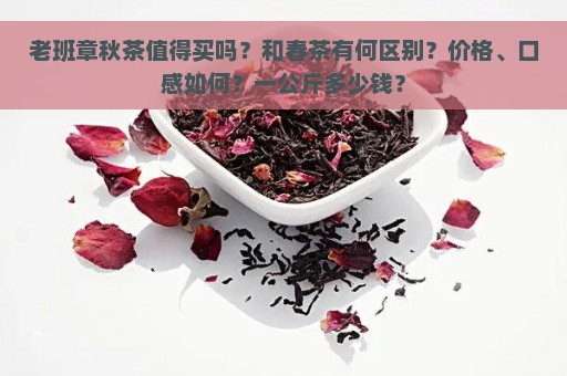 老班章秋茶值得买吗？和春茶有何区别？价格、口感如何？一公斤多少钱？