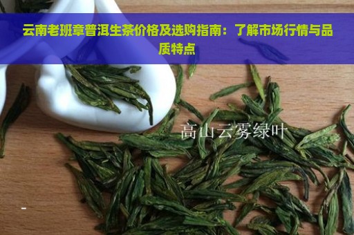 云南老班章普洱生茶价格及选购指南：了解市场行情与品质特点