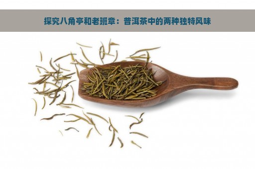 探究八角亭和老班章：普洱茶中的两种独特风味