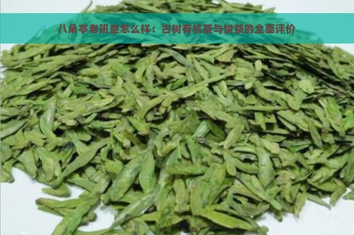 八角亭老班章怎么样：古树有机茶与饼茶的全面评价