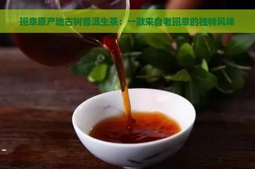 班章原产地古树普洱生茶：一款来自老班章的独特风味