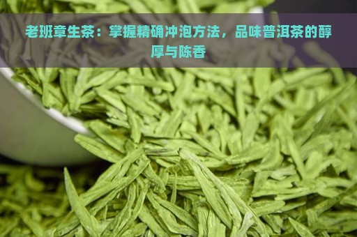 老班章生茶：掌握精确冲泡方法，品味普洱茶的醇厚与陈香