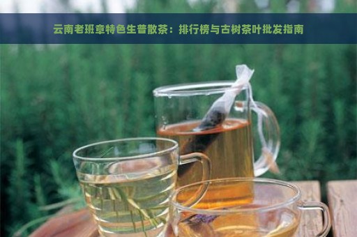 云南老班章特色生普散茶：排行榜与古树茶叶批发指南