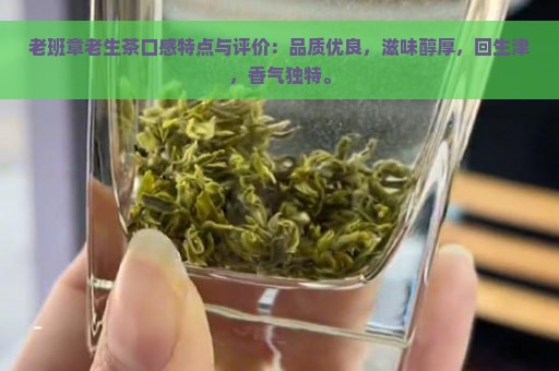 老班章老生茶口感特点与评价：品质优良，滋味醇厚，回生津，香气独特。