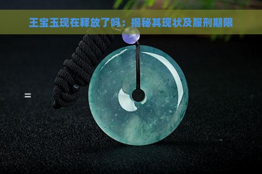 王宝玉现在释放了吗：揭秘其现状及服刑期限