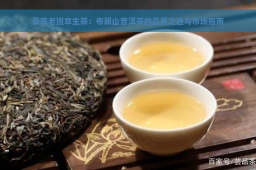 云南老班章生茶：布朗山普洱茶的品质之选与市场指南