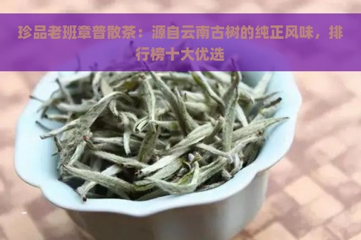 珍品老班章普散茶：源自云南古树的纯正风味，排行榜十大优选