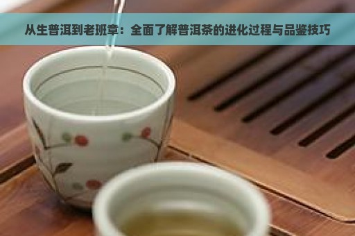 从生普洱到老班章：全面了解普洱茶的进化过程与品鉴技巧