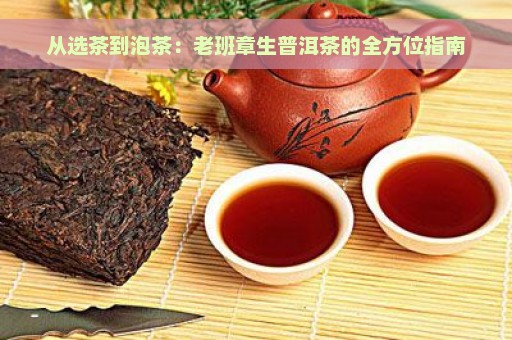 从选茶到泡茶：老班章生普洱茶的全方位指南