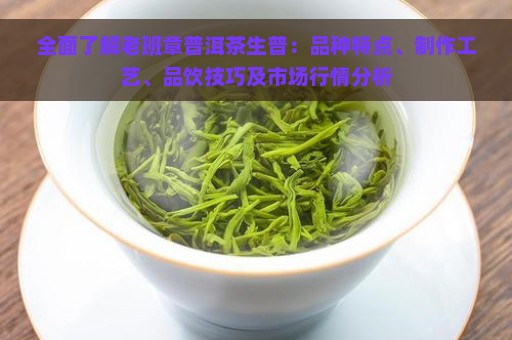 全面了解老班章普洱茶生普：品种特点、制作工艺、品饮技巧及市场行情分析