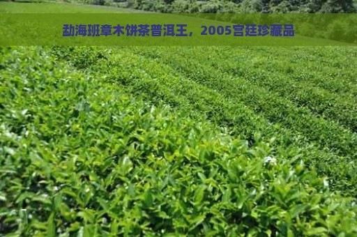 勐海班章木饼茶普洱王，2005宫廷珍藏品