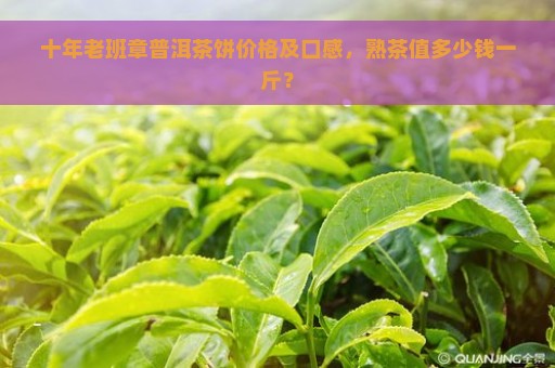 十年老班章普洱茶饼价格及口感，熟茶值多少钱一斤？