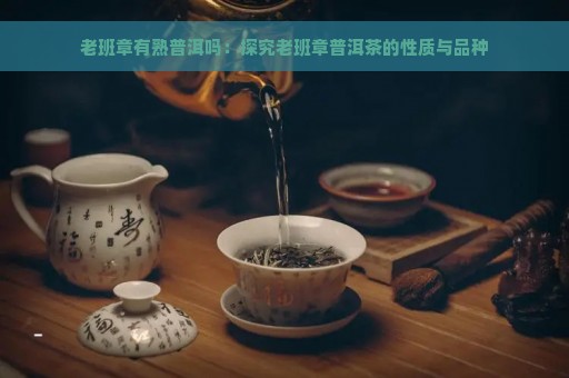 老班章有熟普洱吗：探究老班章普洱茶的性质与品种