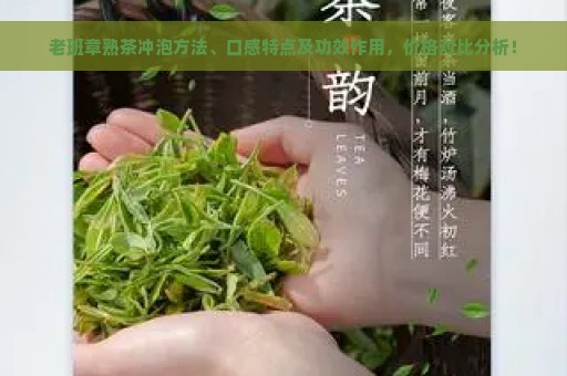 老班章熟茶冲泡方法、口感特点及功效作用，价格对比分析！