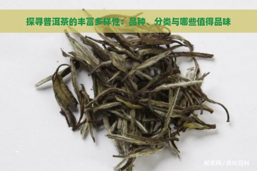 探寻普洱茶的丰富多样性：品种、分类与哪些值得品味