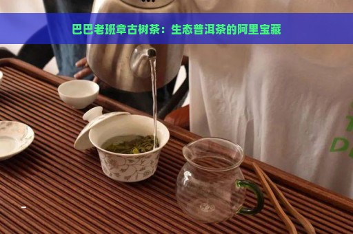 巴巴老班章古树茶：生态普洱茶的阿里宝藏