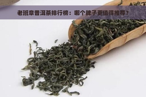 老班章普洱茶排行榜：哪个牌子更值得推荐？