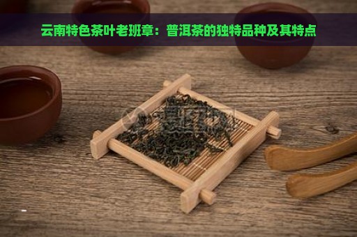 云南特色茶叶老班章：普洱茶的独特品种及其特点