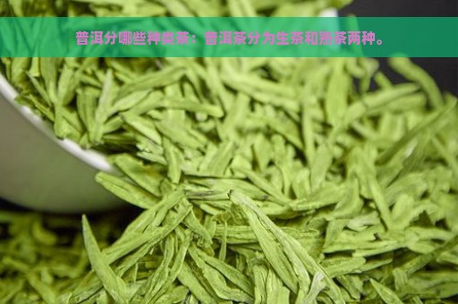 普洱分哪些种类茶：普洱茶分为生茶和熟茶两种。