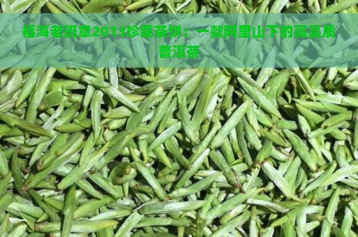 福海老班章2013珍藏茶饼：一款阿里山下的高品质普洱茶