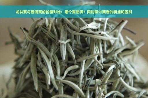 龙井茶与普洱茶的价格对比：哪个更昂贵？同时探讨两者的特点和区别