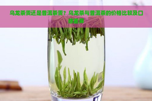 乌龙茶贵还是普洱茶贵？乌龙茶与普洱茶的价格比较及口感差异