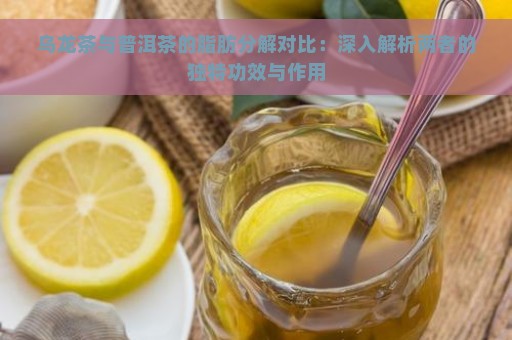 乌龙茶与普洱茶的脂肪分解对比：深入解析两者的独特功效与作用