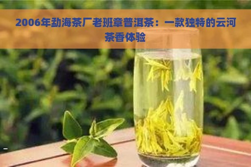 2006年勐海茶厂老班章普洱茶：一款独特的云河茶香体验