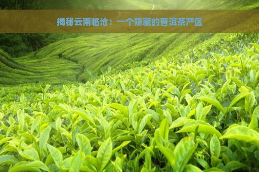 揭秘云南临沧：一个隐藏的普洱茶产区