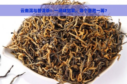 云南洱与普洱茶：一场味觉宴，哪个更胜一筹？