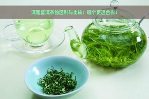 洱和普洱茶的区别与比较：哪个更适合你？