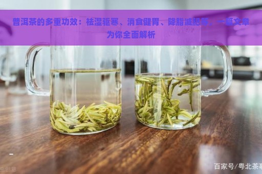 普洱茶的多重功效：祛湿驱寒、消食健胃、降脂减肥等，一篇文章为你全面解析