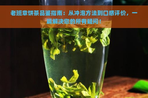 老班章饼茶品鉴指南：从冲泡方法到口感评价，一篇解决您的所有疑问！