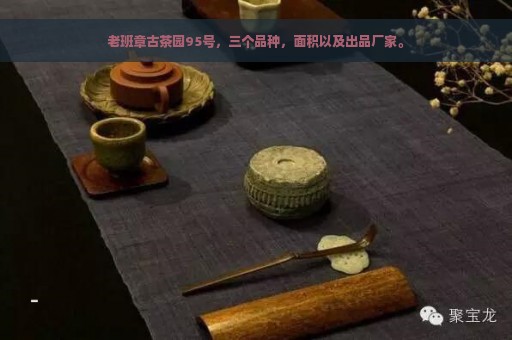 老班章古茶园95号，三个品种，面积以及出品厂家。