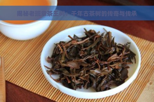 揭秘老班章茶王树：千年古茶树的传奇与传承