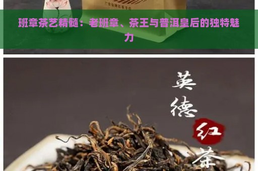 班章茶艺精髓：老班章、茶王与普洱皇后的独特魅力