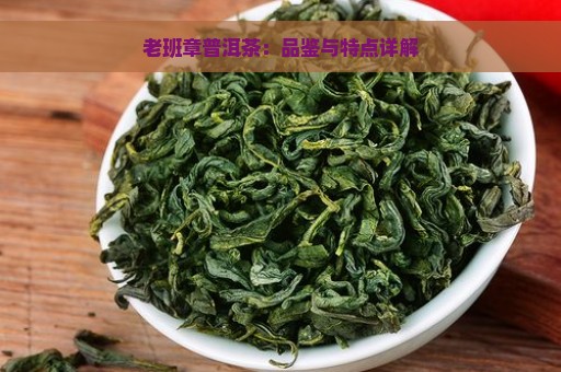 老班章普洱茶：品鉴与特点详解