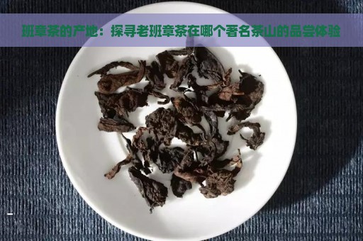 班章茶的产地：探寻老班章茶在哪个著名茶山的品尝体验