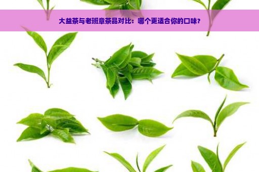 大益茶与老班章茶品对比：哪个更适合你的口味？