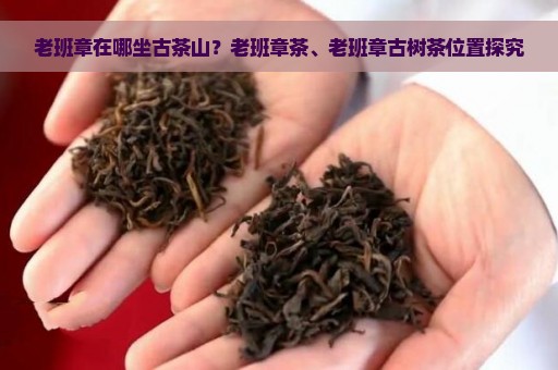 老班章在哪坐古茶山？老班章茶、老班章古树茶位置探究