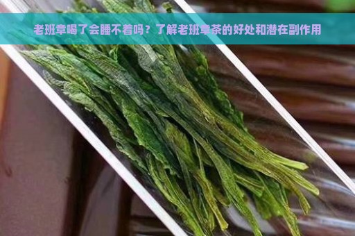 老班章喝了会睡不着吗？了解老班章茶的好处和潜在副作用