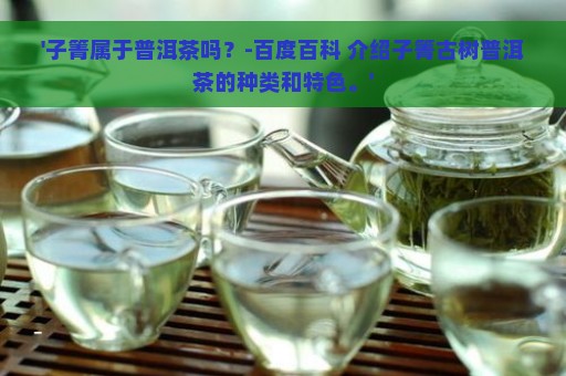 '子箐属于普洱茶吗？-百度百科 介绍子箐古树普洱茶的种类和特色。'