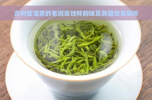 古树普洱茶的老班章独特韵味及其健效果解析