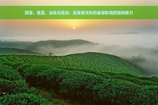 班章、易武、冰岛与曼松：探索茶文化的全球影响和独特魅力