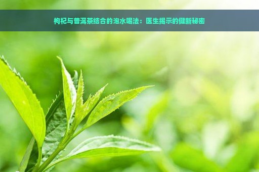 枸杞与普洱茶结合的泡水喝法：医生揭示的健新秘密